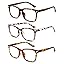 (16)tea Leopard | Leopard | Tortoiseshell
