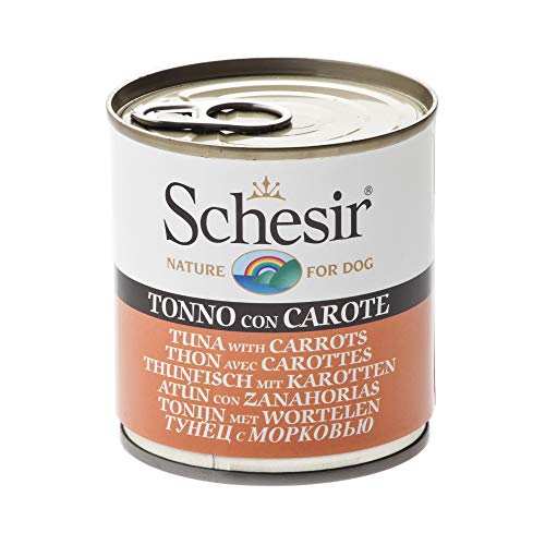Schesir, Cibo Umido per Cani Adulti al Gusto Tonnetto con Carote, Filetti in Morbida Gelatina - Totale 4,56 Kg (16 Lattine da 285G)