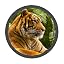 Animal Tiger