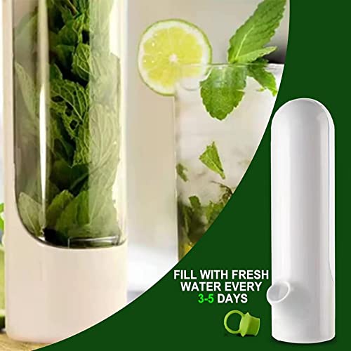 Fresh Herb Keeper,Herb Savor Pod,9.8In Herb Saver For Refrigerator,Keeps Greens Fresh Herb Keeper,Clear Herb Storage Containers For Refrigerator,For Herbs,Mint,Parsley,Chives,Rosemary,Thyme,Dill #TOP3