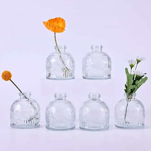 Miniatura 7 de Aebor Juego de 6 jarrones de cristal, frascos de flores de vidrio, botellas pequeñas para arreglos florales, jarrones florales decorativos rústicos
