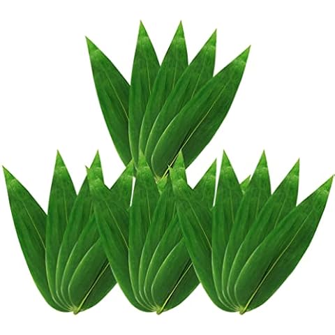 DOITOOL Feuilles de bambou à sushi Cover