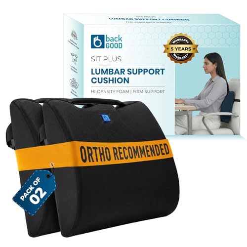 Image of Orthosit Orthopedic Lumbar Support | 5-Yr-Warranty | Back Support Cushion | Back Pain Relief| (Black - Set of 2)