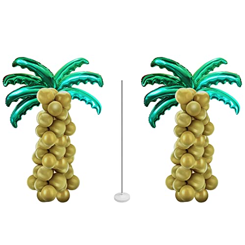 Reviews y listado de Palmera coco plumoso precio disponible en línea para comprar. 3