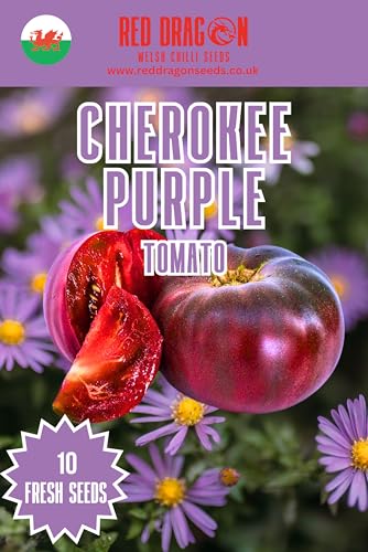 Cherokee Purple Tomato Seeds - 10 Fresh Purple Cherokee Tomato Seeds