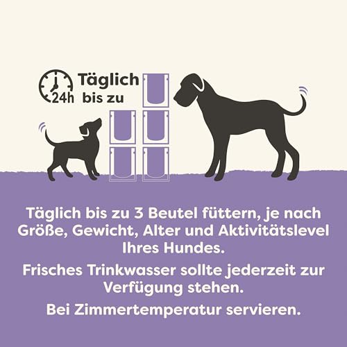 Applaws Taste Toppers 100% natürliche Wet Dog Food Topper, Grain Free Whitefish mit Lachs und Gemüse in Soße Beutel 12 x 85g Beutel