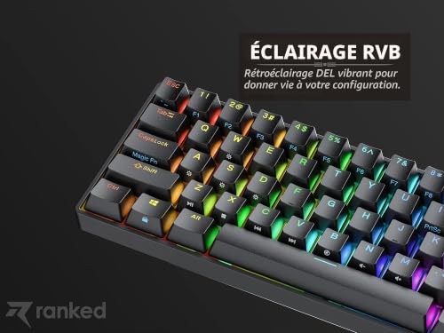 Ranked N60 Nova Clavier Mécanique de Jeu 60% | Hot Swap Gaming Keyboard | 61 Touches Programmables | RGB LED | Mac, PC Windows | QWERTY ANSI US (Noir, Gateron Pro Red) – vue 8