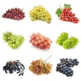 100 Piezas Semillas De Uva Orgánicas - Uvas - Árbol Bonsái, Plantas De Balcón Resistentes Semillas De Uva, Fruta Fresca, Decoración Salón Semillas De Frutas, Plantas De Jardín De Rocas