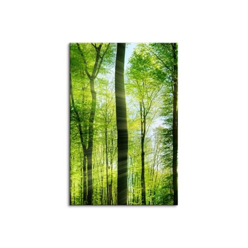 3 ���Z�b�g ���R�̕��i �J�^�G�� �t���[�� �����i �A�[�g�p�l�� �A�[�g�p�l�� �X �΂̕��� �x�����_�G�� ���i�� �X�̗΂̕ǉ� �z�[���C���e���A (60x90cm�i24x36in�j,M)