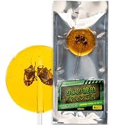 天然　琥珀　特大45ｃｔオーバー　虫入り Amazon.co.jp: 昆虫食TAKEO 虫入り琥珀キャンディ トノサマバッタ 1本