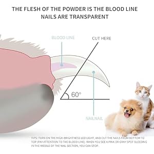LED Pet Nail Clippers for Cats, Dog Nail Trimmers, Upgrade Cat Nail Clipper with Light, Cats Nail Clippers, Trim Your Pets Nails Pain-Free Grooming Tool for Small Animals