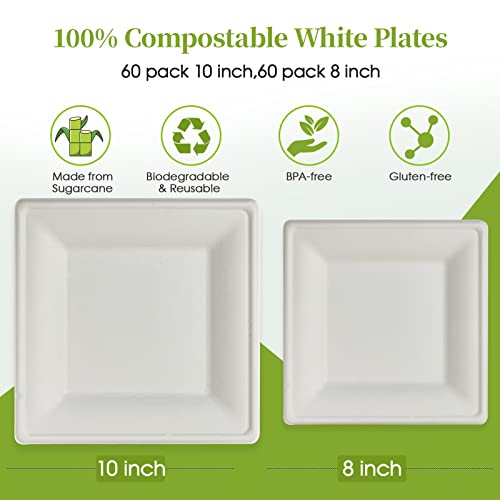 Ecolipak 120 Pack Compostable Paper Plates, 10 Inch And 8 Inch Heavy Duty Disposable Square Plates, Eco-Friendly Sugarcane Biodegradable Plates For Party Dinner Birthday #TOP1