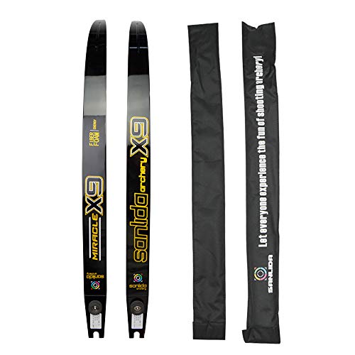 SHARROW Archery Takedown Recurve Bow Limbs 20lbs 40lbs ILF Bow Limbs for Target Hunting (Black, 20lbs)