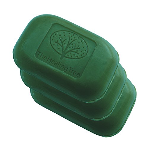Green Tea Soap - All Natural Bar Soap For All Skin Types - 3.52oz. (3-Pack)