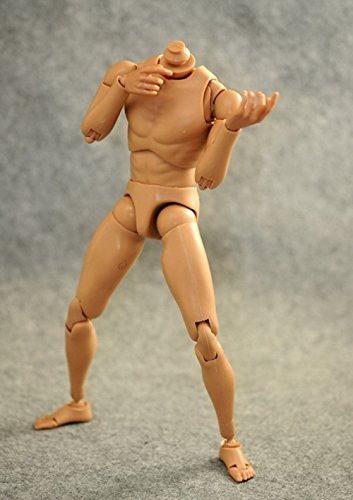 1/6 男性 フィギュア ドール 用カスタムヘッド　確認用 Amazon.co.jp: 1/6スケール男性フィギュアヘッドスカルプト