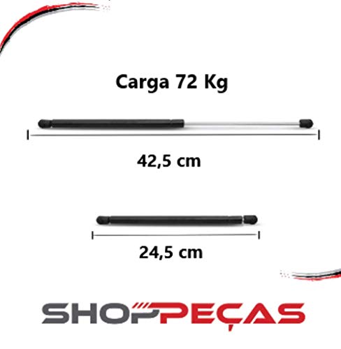 Par Amortecedores Tampa Porta-Malas Peugeot 307 02 A 12