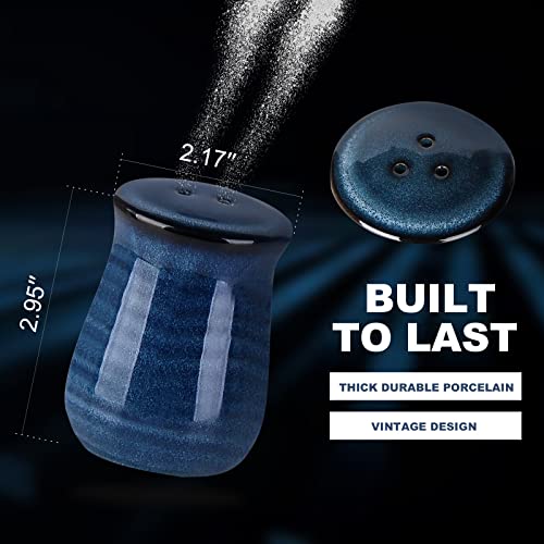 Hasense Cermaic Salt And Pepper Shakers,Navy Farmhouse Salt Shaker Set Of 2, Vintage Spice Shaker For Compact Cooking,Travel, Bbq, Kitchen And Resturant Decor #TOP3