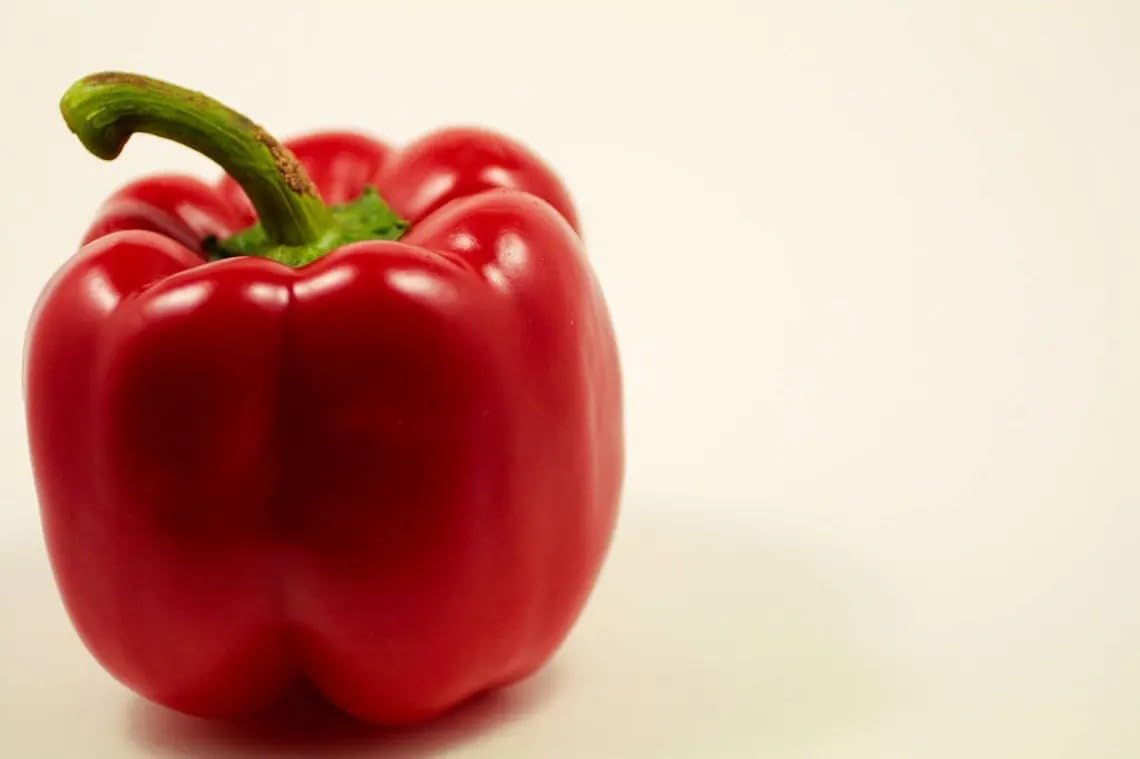 Willvine BIG RED Bell PEPPER Sweet Capsicum-PUA-77G-picture-15