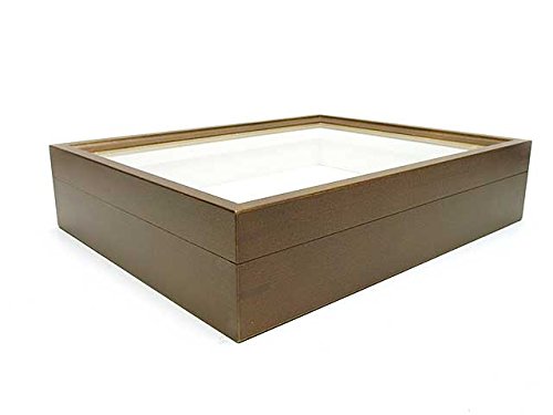 Amazon.co.jp: 小型ドイツ型標本箱（茶） : おもちゃ