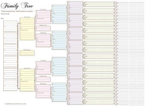 A3 Seven Generation Pedigree Chart - pack of 3
