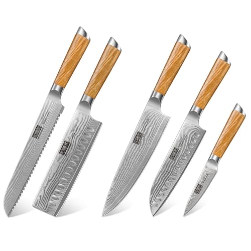 Set de Cuchillos Cocina 5 Piezas Acero Inox