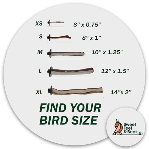 Image of Sweet Feet and Beak Manzanita Bird Perch, X-Large, Wooden Pedicure Perch | Cosmetic Grade Manzanita-Pumice Blend, Bird Cage Perch for Healthy Feet, Beak and Muscle, 14 inch Perch, Available in 5 Sizes