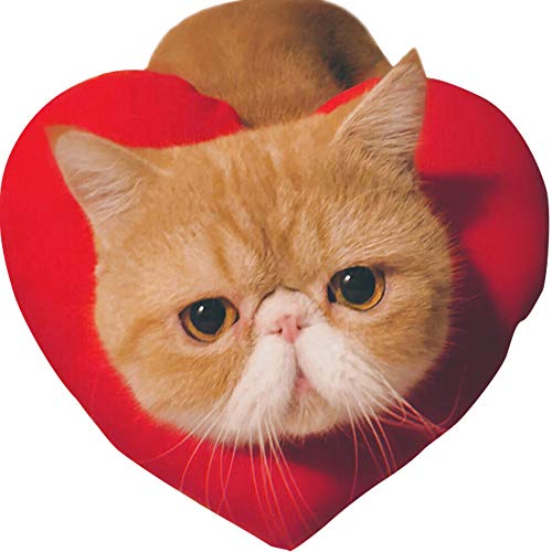 Umora Lp RX`[  ybg  Ԃn[g^ pLbv ANZT[ RXv ϐg ybg ʔ   Be