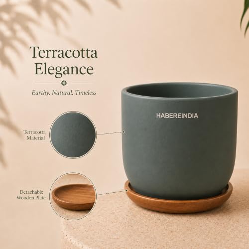 Image of Habere India-All the Cultures Fabricating India Plant Pot with Wooden Plate | Flower Pots for Dining Table & Home Decor | Terracotta Pot for Living Room Decoration (Dark Gray, Dia11 x H9.5 cm)