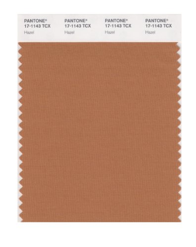 Pantone Smart 17-1143X Color Swatch Card, Hazel