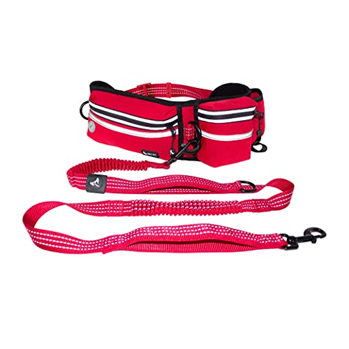 Best Dog Leash For Hiking in 2022 Bookonboard