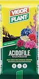 Terriccio per Acidofile 20L | Substrato Professionale per Azalee, Ortensie, Camelie e Rododendri | pH Acido | Alta Qualità | Ideale per Vaso e Giardino