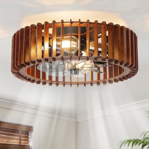Image of 20'' Caged Low Profile Fandelier ceiling fan with light and Remote Black