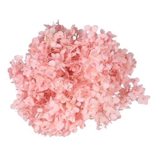 Petalos Secos de Hortensia Rosa para Manualidades