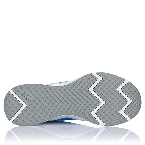 Image of Nike Mens Revolution 5 (4e) Running Shoe