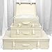 HANGERWORLD Wedding Dress Storage Box Bridal Gown Preservation Kit including 10 sheets of Archival Acid Free Tissue Paper (Small, Ivory)