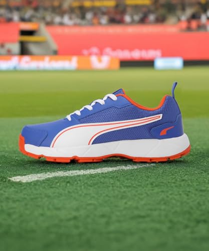 Image of Puma Men Cricket HighRun Cricket Shoe
