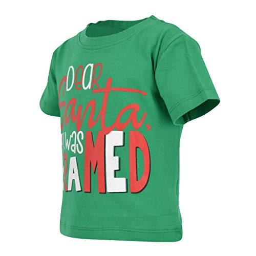 Image of Boys Short Sleeve Funny Graphic Tees for Toddler to Big Kid