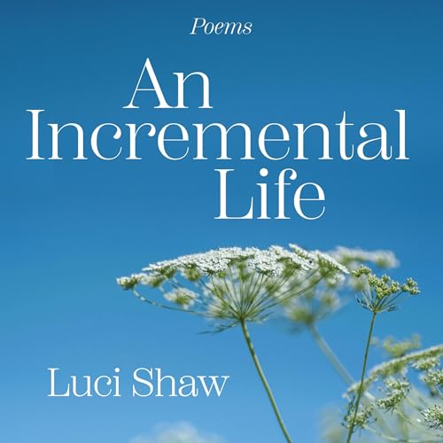 『An Incremental Life』のカバーアート