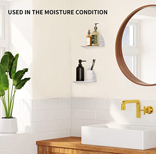 Bazasax Invisible Floating Bookshelves, Floating Bookshelf For Wall, Heavy Duty Book Organizer, Metal Rustproof Hanging Book Shelves, Wall Mounted Book Shelf For Bedroom Bathroom Kitchen #TOP5