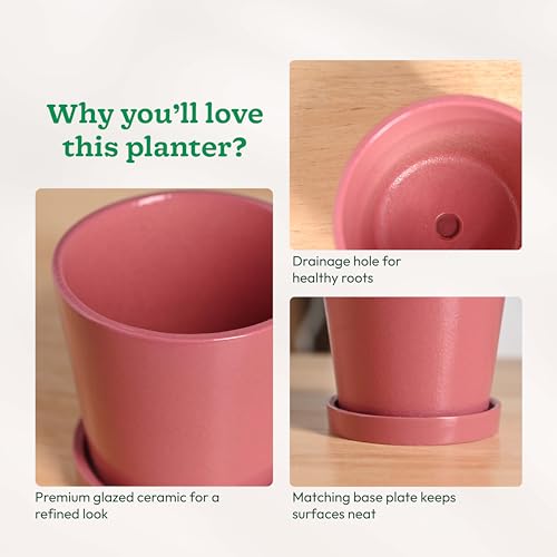 Image of UGAOO Table Top Ceramic Flower Pot for Indoor Plants, 4 Inch - Magenta