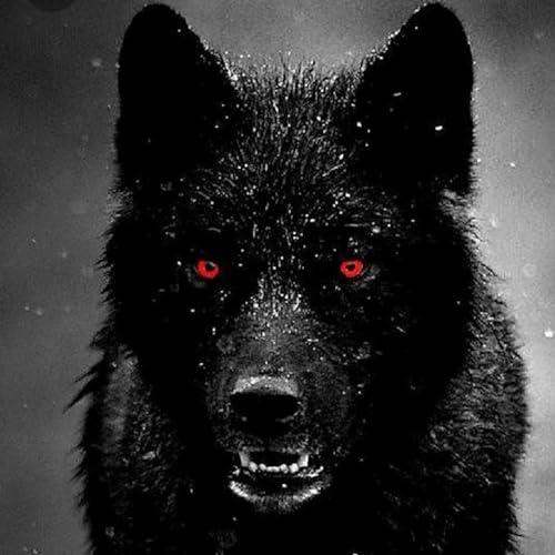 HP3 🏃⛓️🔑FINAL