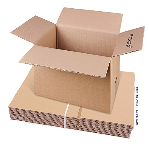 Master'in: Caisse carton double cannelure - Brune - 310x220x250mm - Lot de 15 caisses