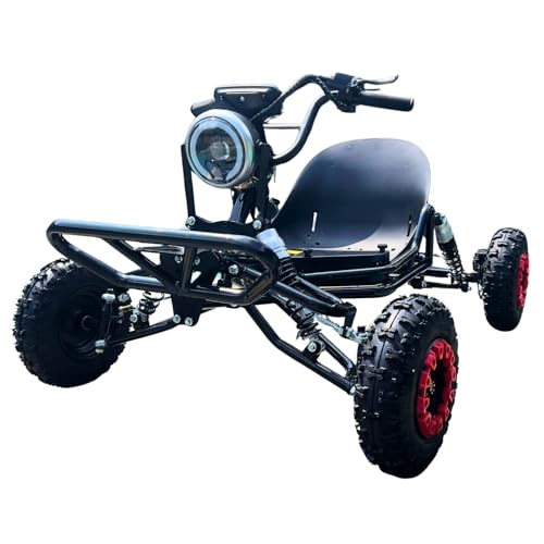 Zyliathor 48v 2000w Electric Go Kart For Adults Teens Off-road Chain Drive H...