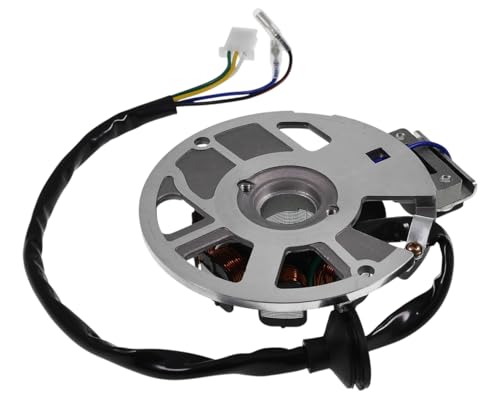 2EXTREME Lichtmaschine Version 1 kompatibel für ATU, Explorer Race GT 50 B92, KEEWAY RY6, TAURIS Samba 2-Takter JL50QT-51, SACHS Speedjet, Speedjet R, KREIDLER Galactica 2.0 DD, LIFAN S-Ray 50ccm