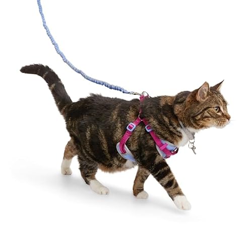 Youly Reflective Utility Cat & Large Cat Harness & Leash Set, Purple & Pink, Large/X-Large