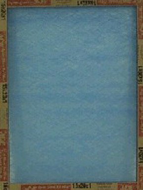 Precisionaire 10004.011520 Fiberglass Furnace Air Filter, 15
