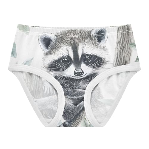 Cute Raccoon Animal Toddler Girls's Underwear 2T 202c0309