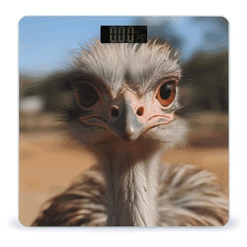 Báscula Digital de Baño con Diseño de Avestruz y Plataforma de Vidrio Templado miniatura 1