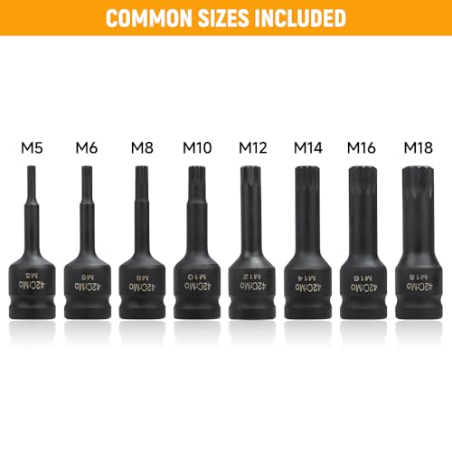 Hoteche 8PC 1/2-Inch DR Multi-Tooth Nut Set, CR-MO Material, M5-M18, with Black Phosphate Coating - Image 2