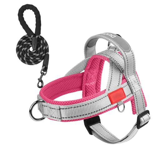 XFSRG Pettorina per Cani con Guinzaglio Riflettente Regolabile in Mesh Traspirante Rosa-Grigio Sicurezza Notturna Comfort per Passeggiate Quotidiane e Attività Outdoor